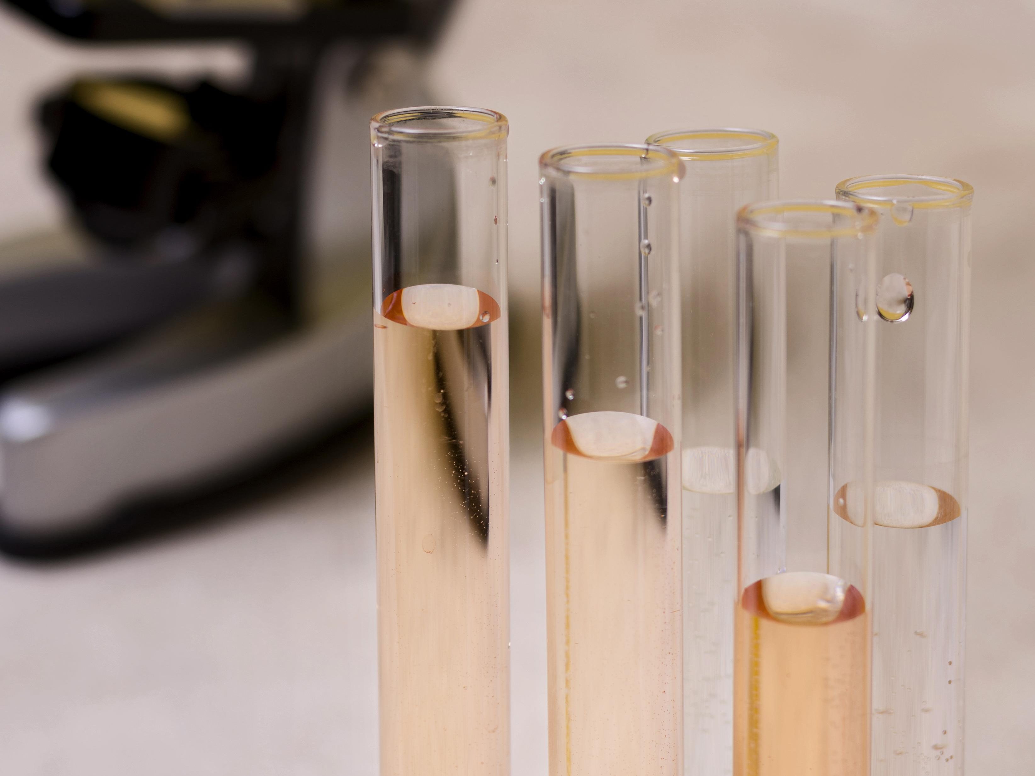 ANP e Qualidade: fiscalização em combustíveis no Brasil